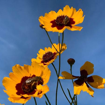 StosswihrLes Bouquetins别墅 外观 照片